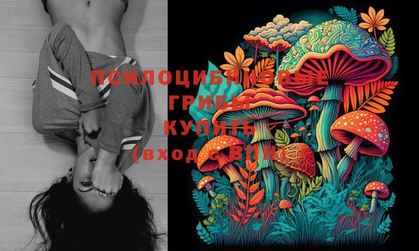 прущий лед Осташков