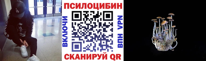 Псилоцибиновые грибы прущие грибы  blacksprut ССЫЛКА  Белоозёрский  купить закладку 